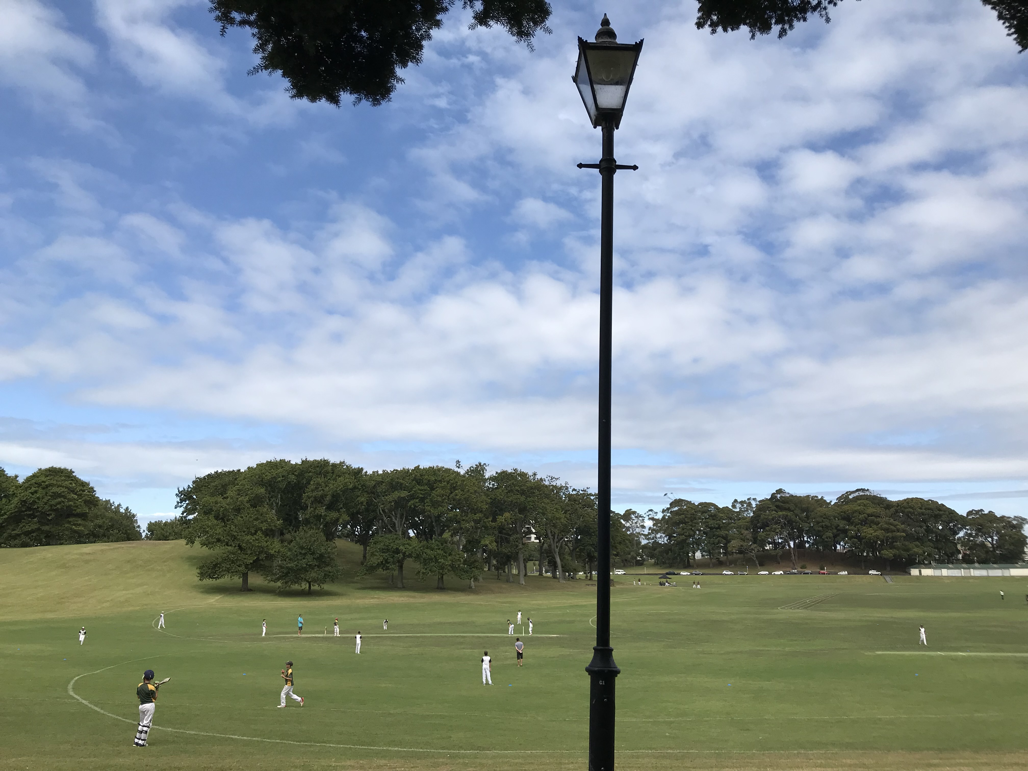 Cricket match on a grass field